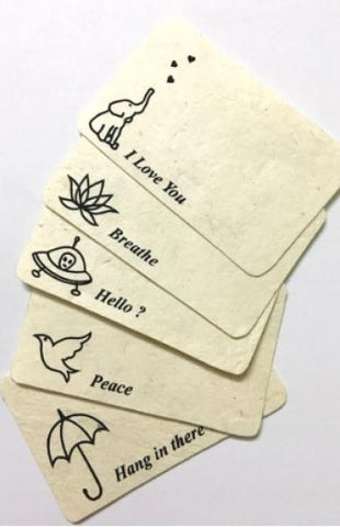 Set of 5 Sweet Notes