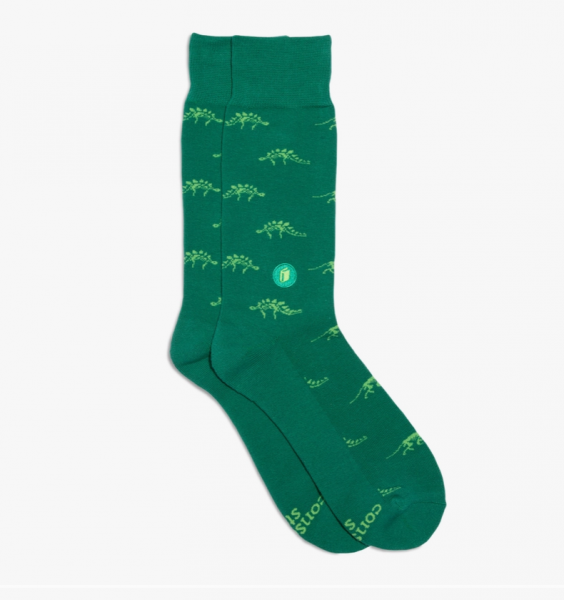 Socks That Give Books - Green Dinosaurs